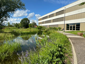 Kandel: Gestaltung der Freianlagen an der neuen Integrierten Gesamtschule