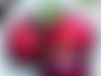 Learn about the ingredients we use to grow your hair.