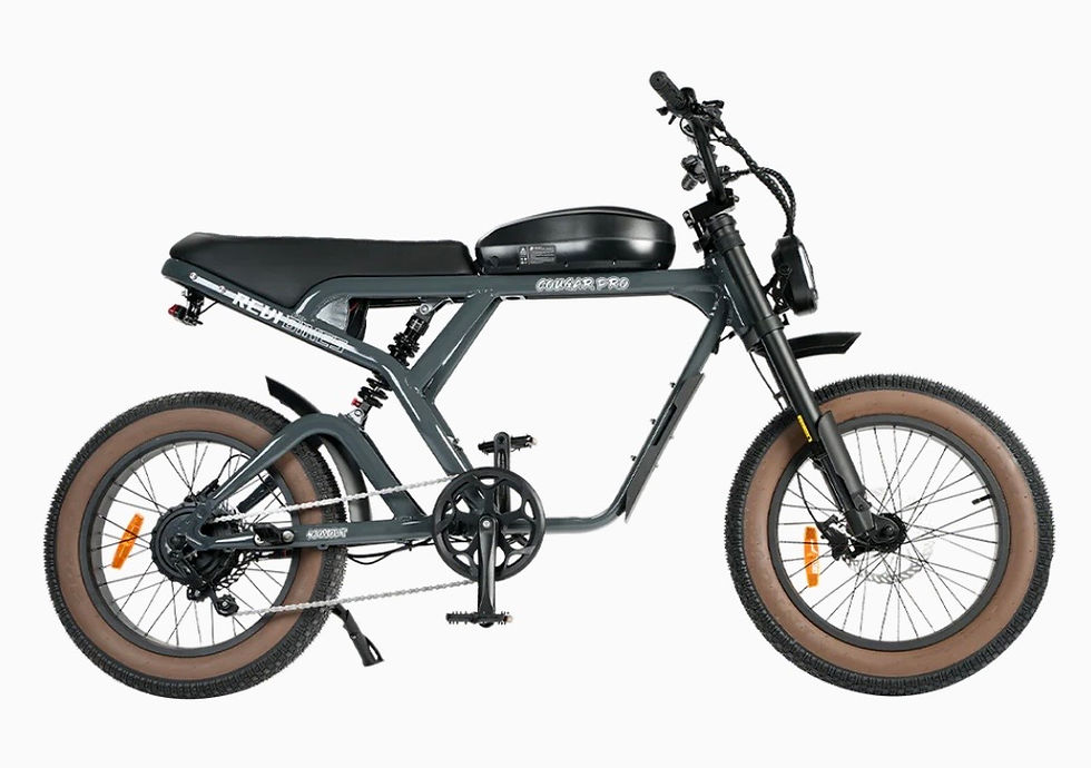 Thumbnail: REVIBIKES - Cougar