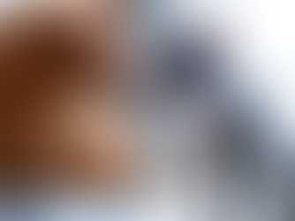 Cách giúp mèo mới làm quen mèo cũ