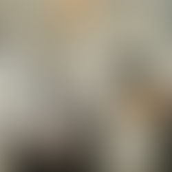 Overnachten in een super leuke Airbnb in Le Bourget dichtbij Parijs!