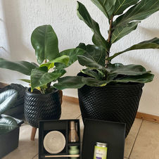 Jam Matcha de groene revolutie in je kopje!