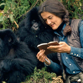 Dian Fossey, amante de gorilas