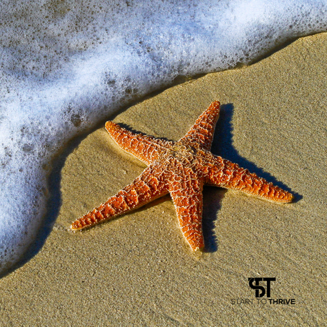 Why it's worth trying.