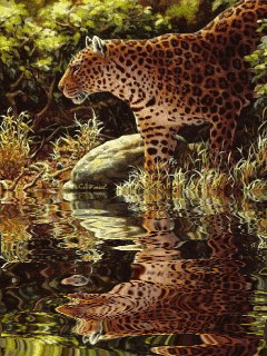 0ad12b_6acc14090a474a04b52b934162b225a0~mv2.gif