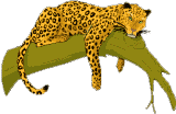 0ad12b_088a9ca4fad243d8978e212171f8ed6d~mv2.gif
