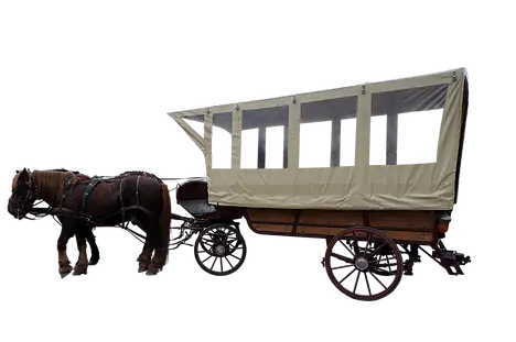 carriage-54.webp