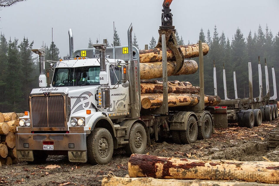 Mills-Tui-log-truck-set-up-Western-Star-02.jpg