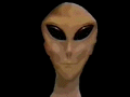coolblink.gif