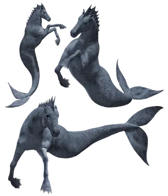 hippocampus-33.webp