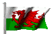 flag20.gif
