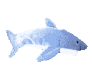 0ad12b_cc3d26a13a5c4f30bc83aad49064c82d~mv2.gif