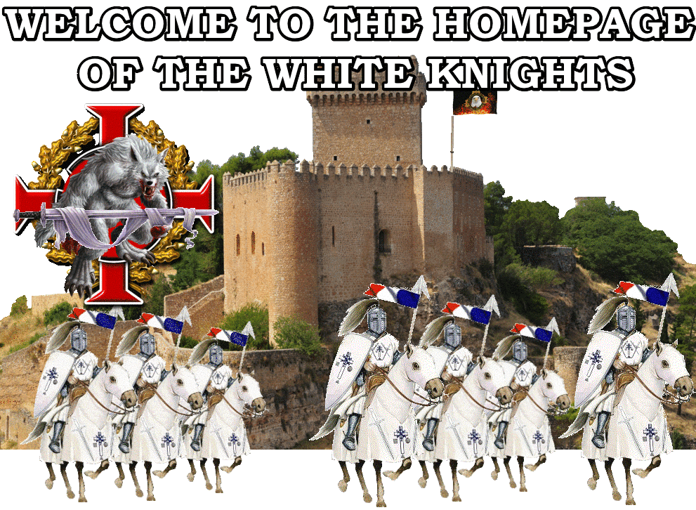 COAT OF ARMS 24