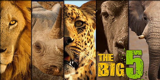 The-Big-5.jpg