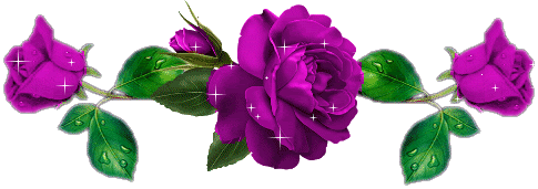 purpledivider1.gif