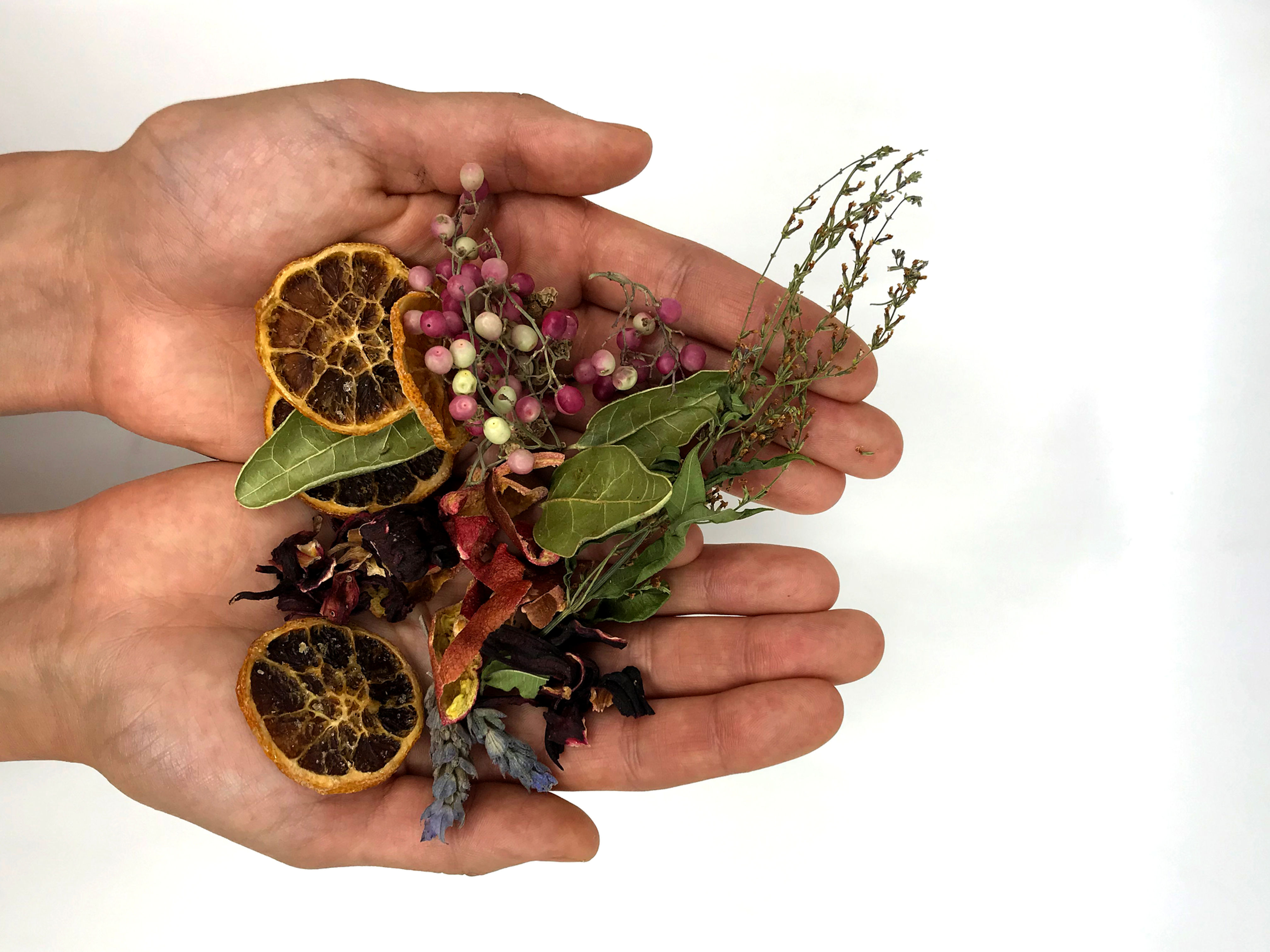 *Macerados* por Yoselin Bustamante