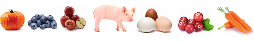 Ingredients.png