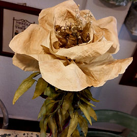 20220902_104424_edited.jpg