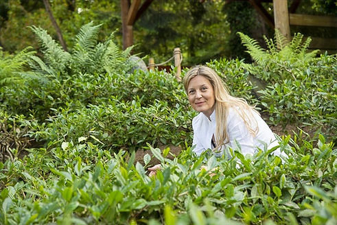 Kinga Pesl auf Teeplantage