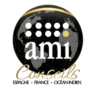 LOGO AMI Conseils Esoagne