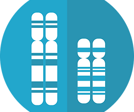 chromosomes-2817314_960_720.png