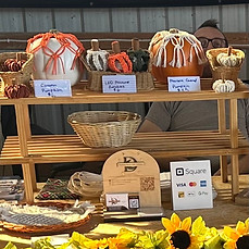 Dazzling Decor with Destinee Fall Theme