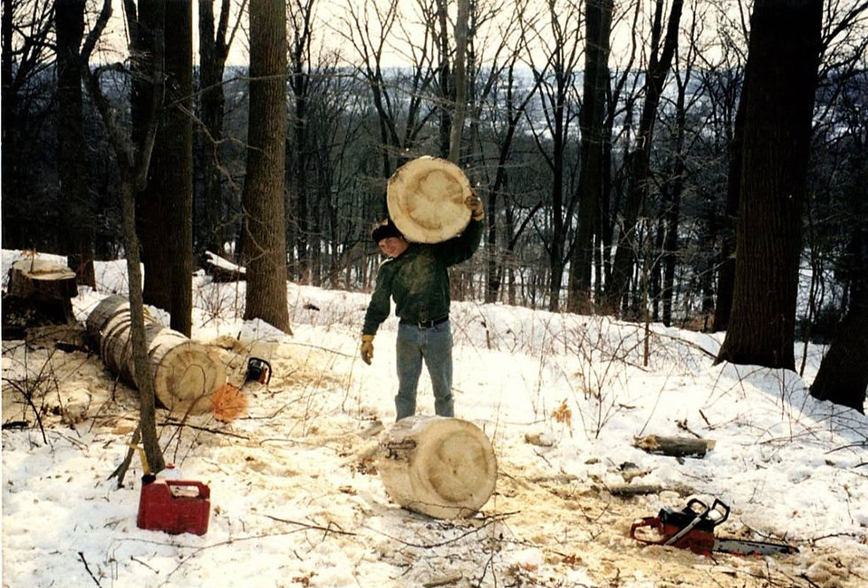 myloveholdinggiantroundstumpinsnow_edited.jpg