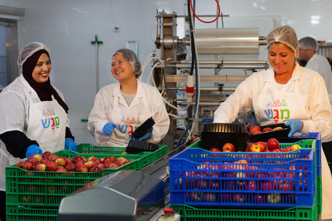 מגש פרבר - הצצה למפעל