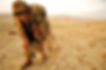 A Nahal brigade recruits during camouflage training, Tel Arad.