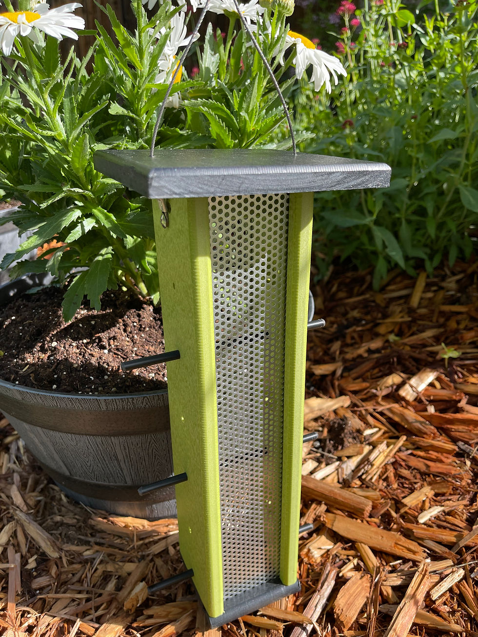 Thumbnail: Outdoor | Poly Bird Feeders &  Houses | Finch Feeder w/ Screen