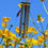 Thumbnail: Wind Chimes | Whispers in the Wind | Spring Meadow Song