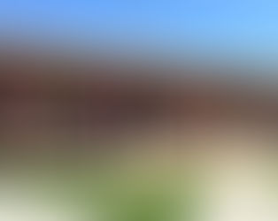 Why CSUN?: My journey to choosing the right college for me