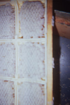 __5_0837.jpg