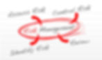 risk managment process