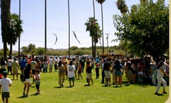 Day on the Green