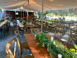 Arbor Area
