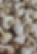 0ad369_49315dca96a6422287b8c2f1a7f3fe0e~mv2.jpg