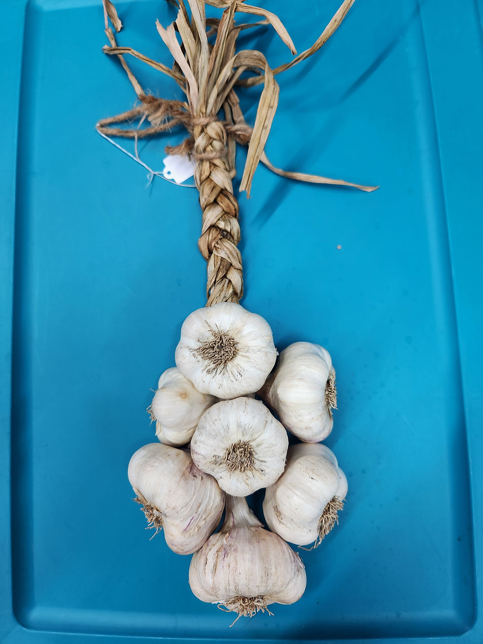 Inchelium softneck braid