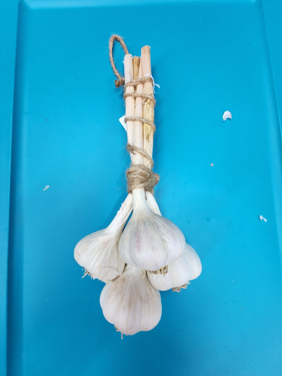 Italy hill 4 head braid