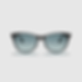 Ray-Ban WAYFARER II RB2185