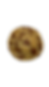 Chocolate Chip Cookie