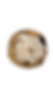 Cinnamon Roll Cookie