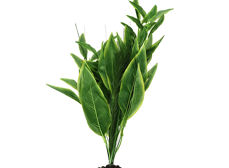 Canada Axolotl Supplies | Axolotl Central