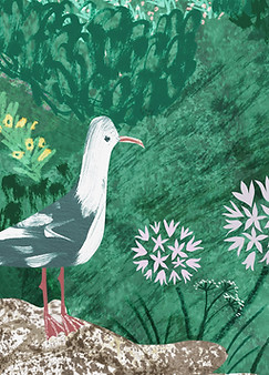 Brand-Illustration_Scilly-Life-Crop_Seagull_Scilly-Flowers_Rachael-Horner.jpg