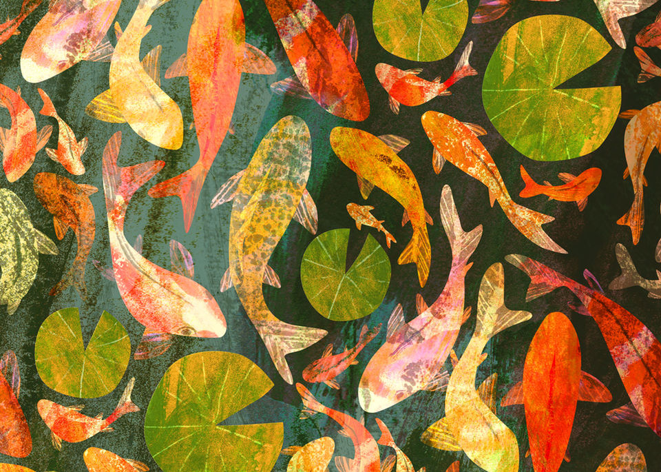 Illustration and surface pattern design by Rachael Horner of koi fish in a pond with lily pads. Lots of texture and colour.