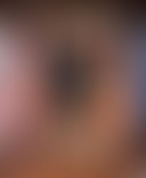 Andy Andrews - The Traveler's Gift