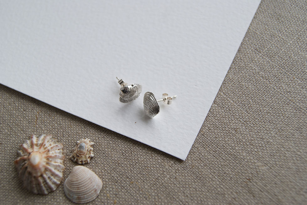 Thumbnail: Cockle Shell Studs
