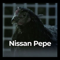 nissan-pepe.jpg