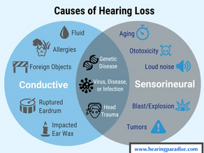 What Kind of Hearing Loss Do I Have?