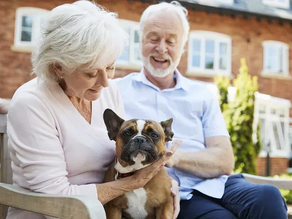 Top Rated Pets For Retirees